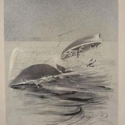 Dillon baleine detail 2
