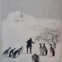 Dillon pingouins 1 2 